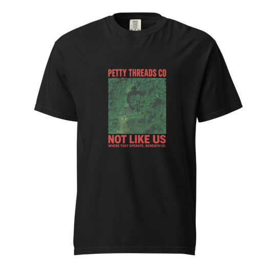 Petty Threads Co – “Not Like Us” - Comfort Colors 100% Cotton T-shirt